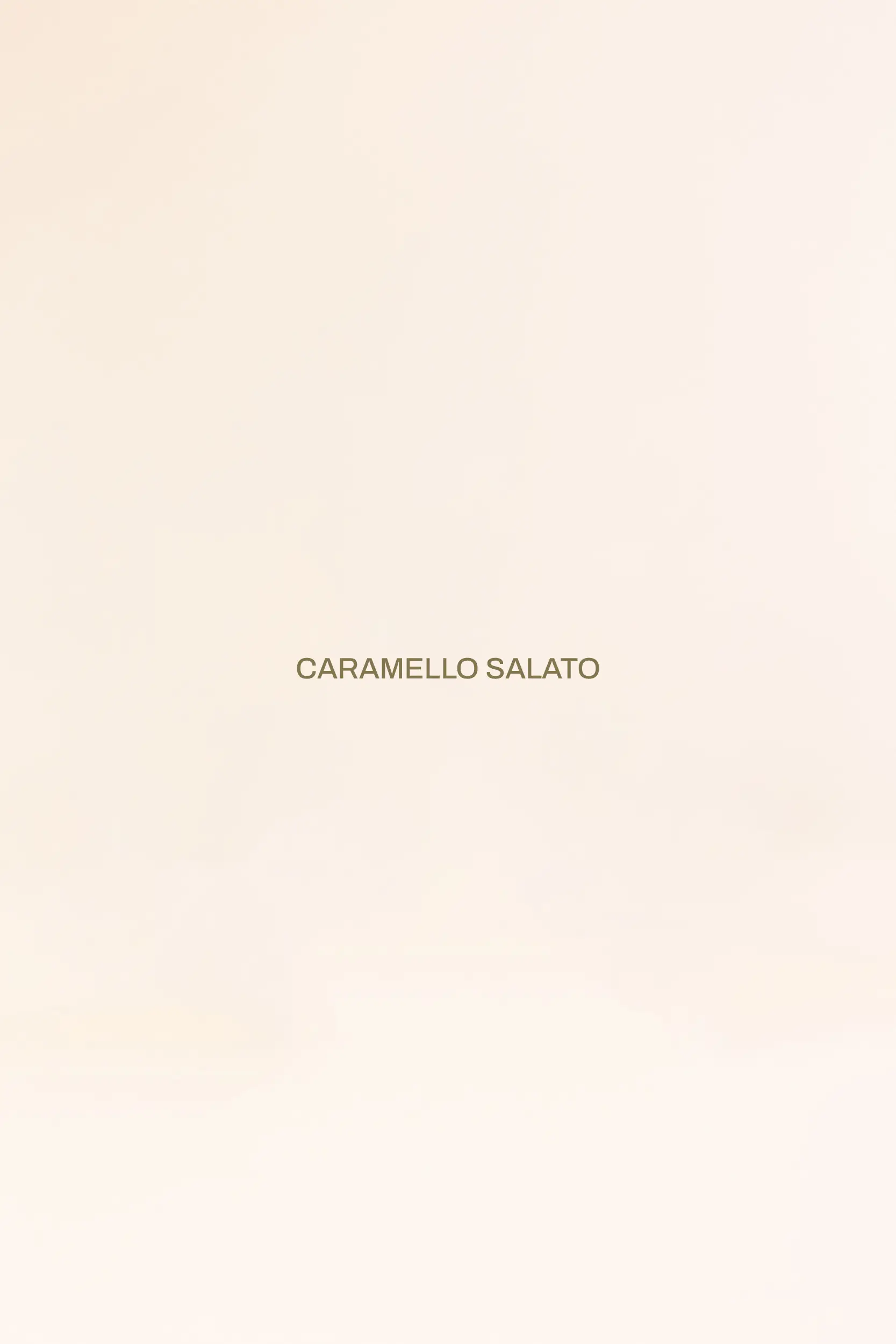Pasticceria Citterio - Macarons - Caramello Salato
