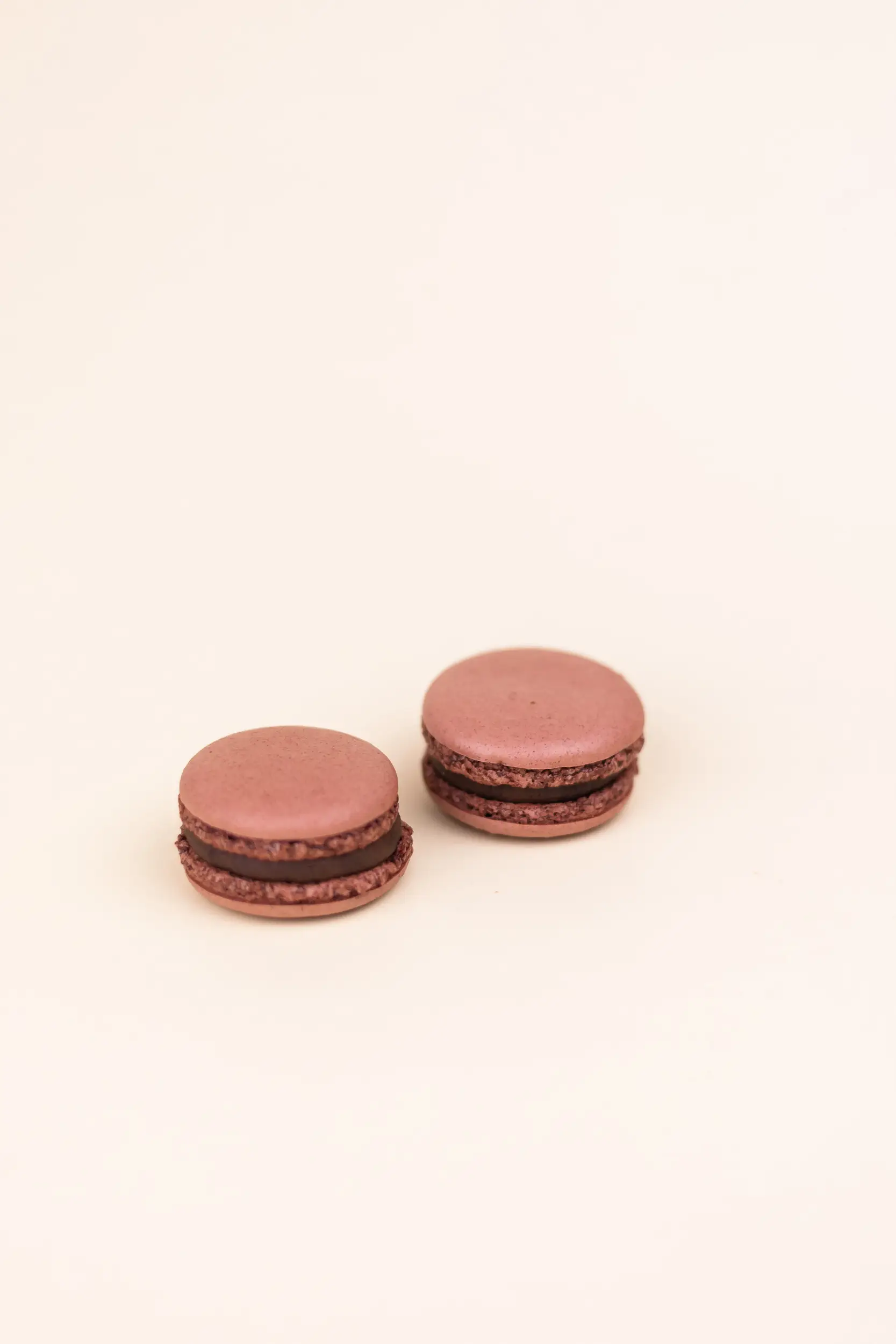 Pasticceria Citterio - Macarons - Cioccolato 3