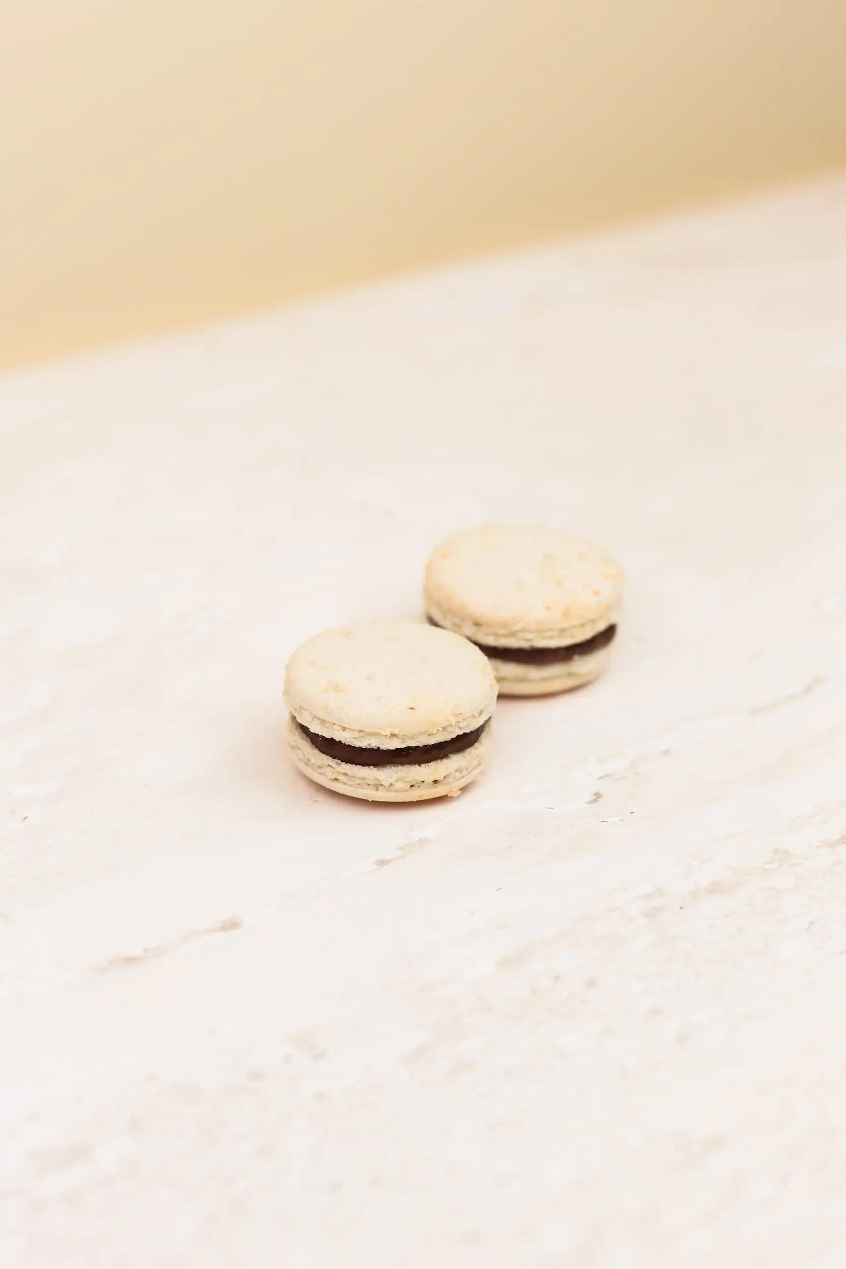 Pasticceria Citterio - Macarons - Cocco 3