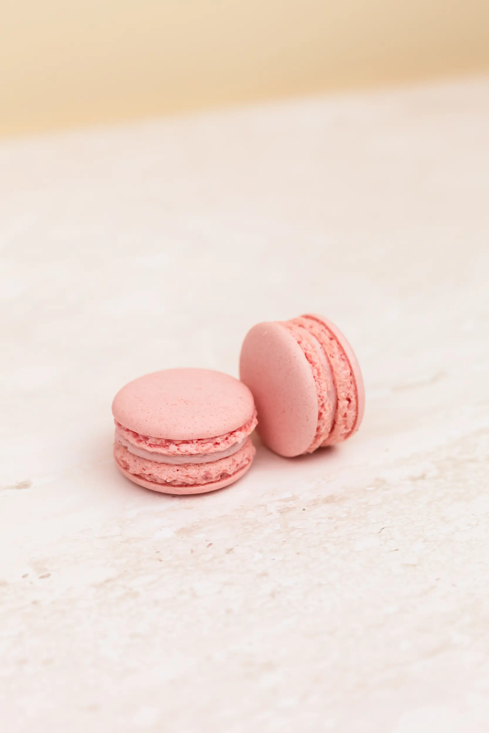 Pasticceria Citterio - Macarons - Fragola 3