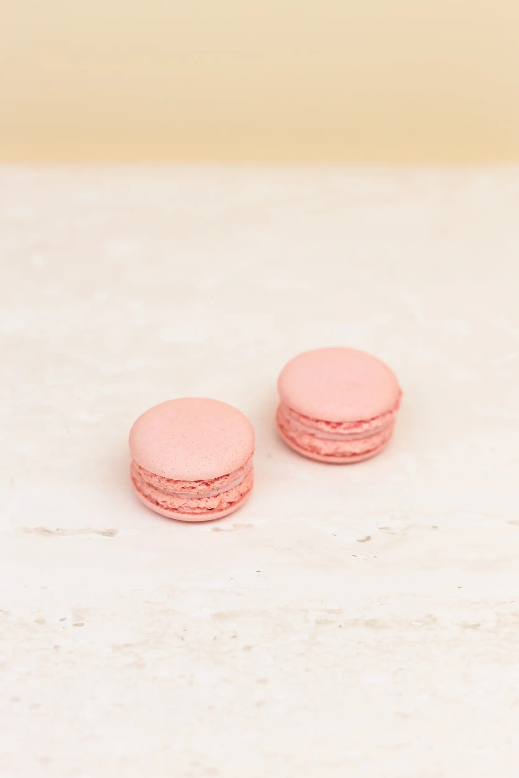 Pasticceria Citterio - Macarons - Fragola 4