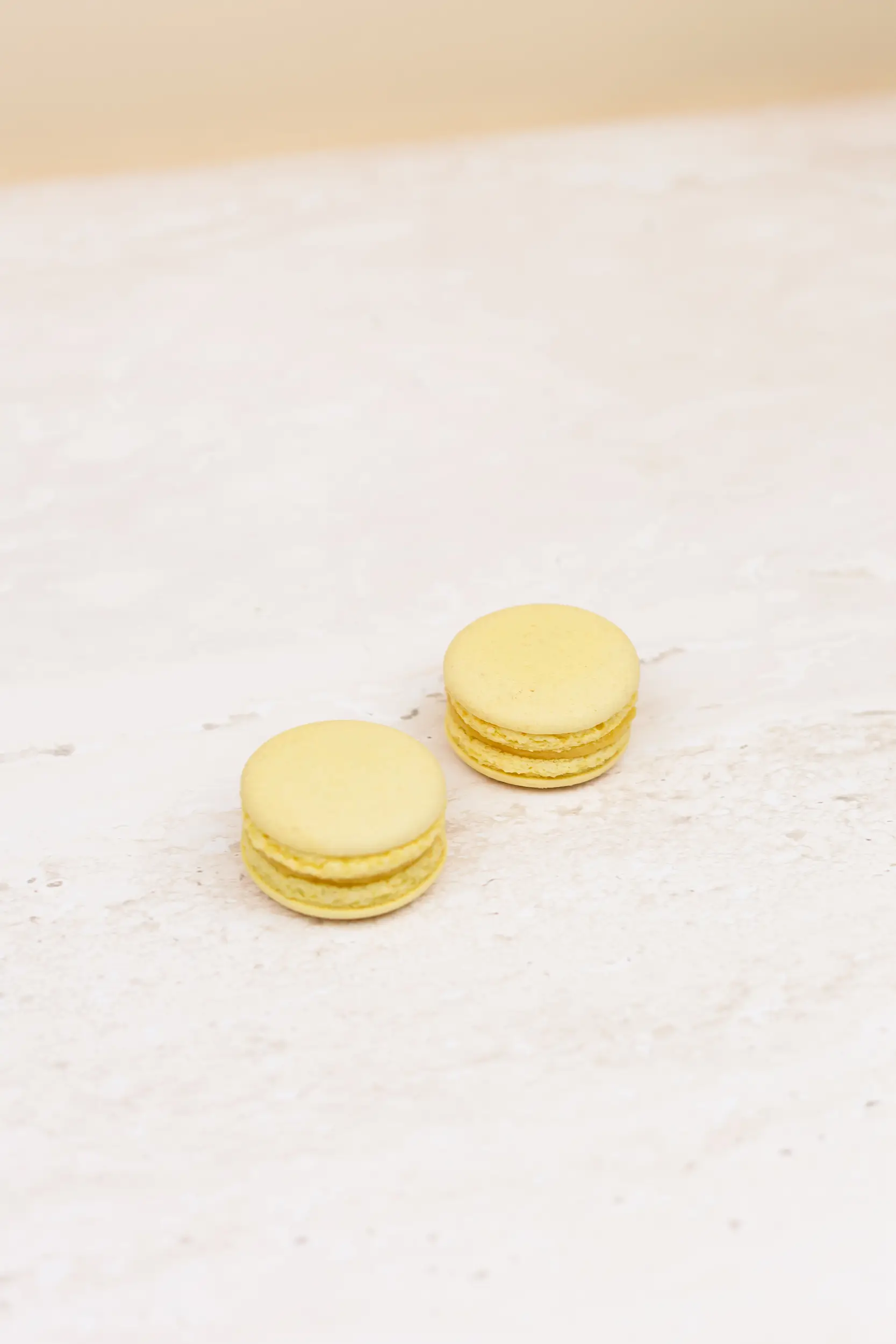 Pasticceria Citterio - Macarons - Limone 3