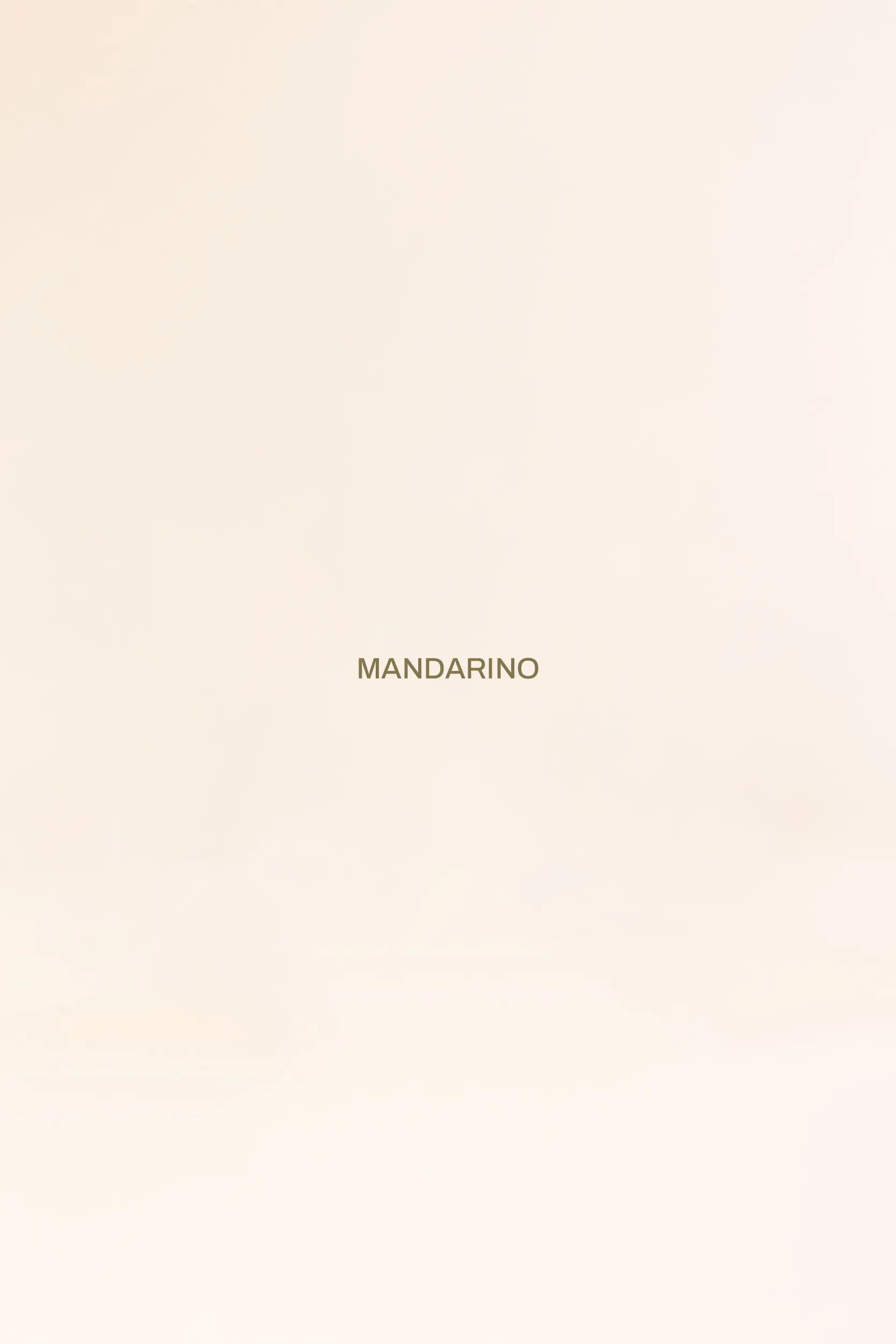 Pasticceria Citterio - Macarons - Mandarino