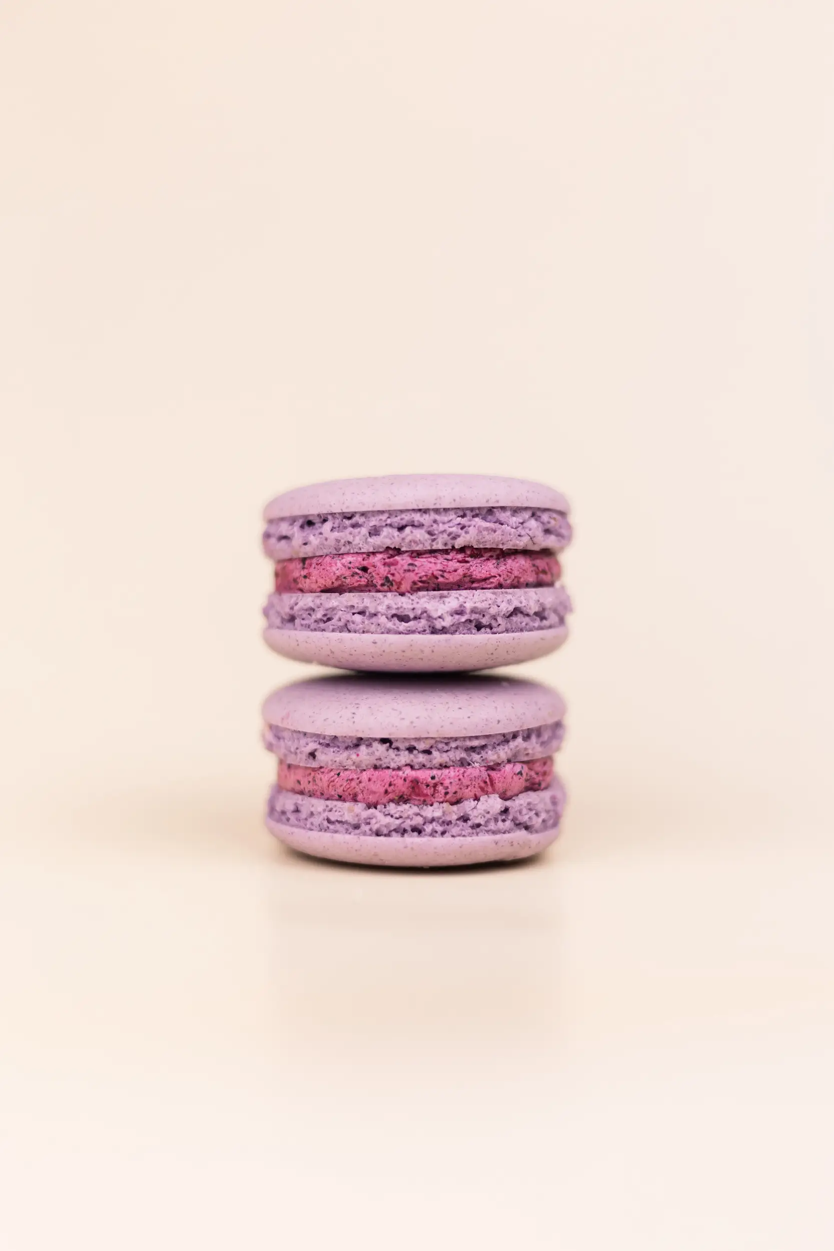 Pasticceria Citterio - Macarons - Mirtillo 1