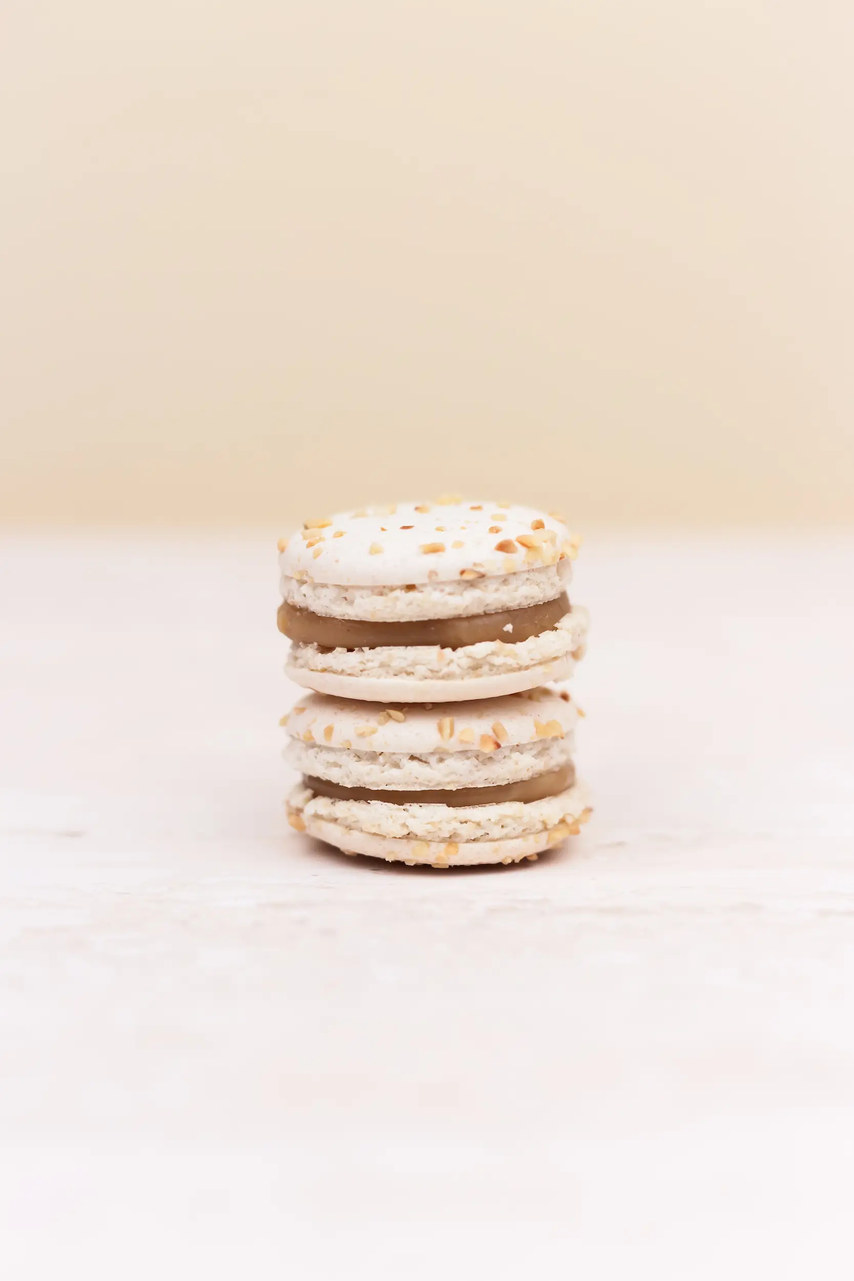 Pasticceria Citterio - Macarons - Nocciola 1