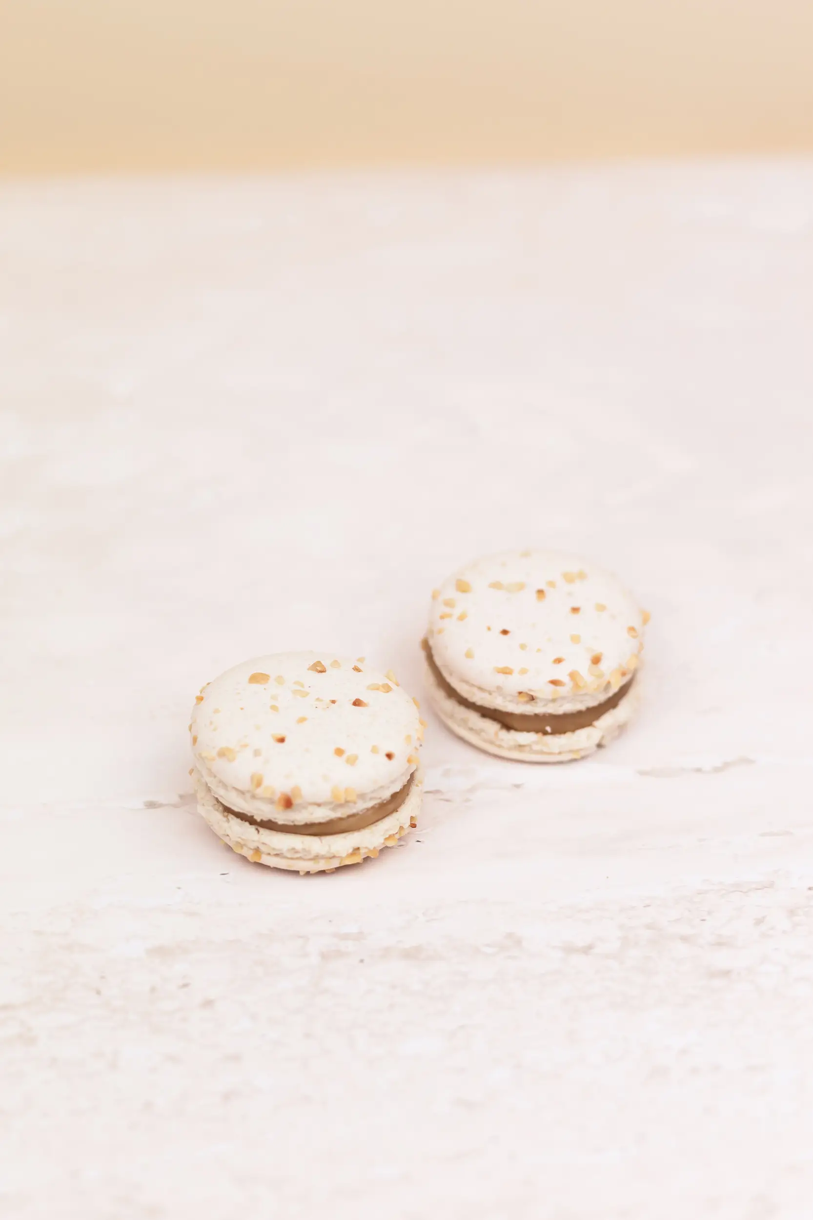 Pasticceria Citterio - Macarons - Nocciola 2