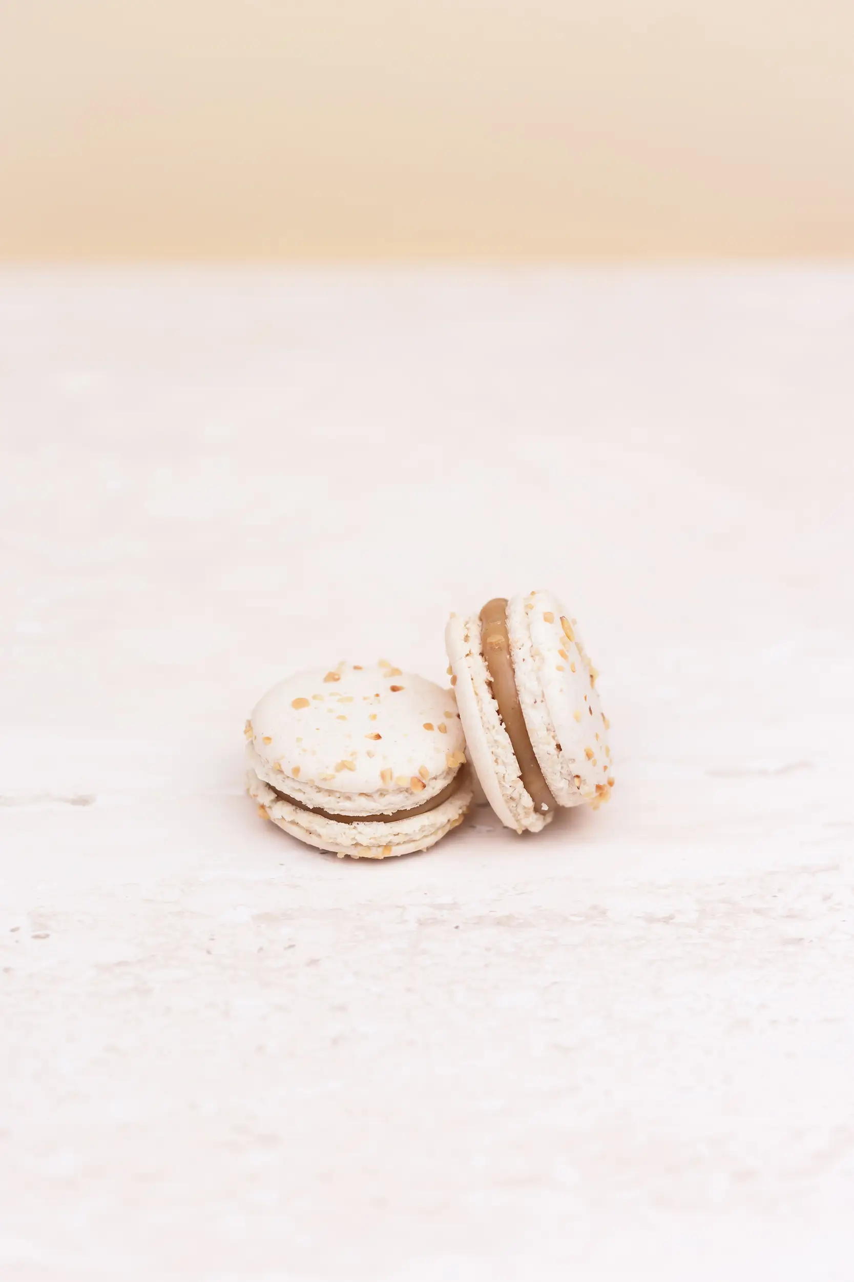 Pasticceria Citterio - Macarons - Nocciola 3